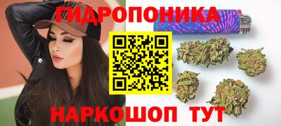 прущие крисы Краснознаменск