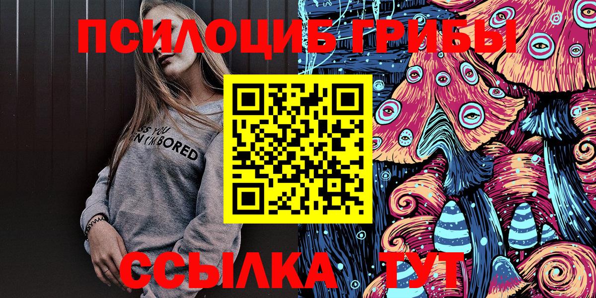 Камышлов  Псилоцибиновые грибы мицелий  Вход с VPN 