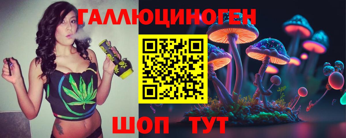 Псилоцибиновые грибы MAGIC MUSHROOMS Камышлов