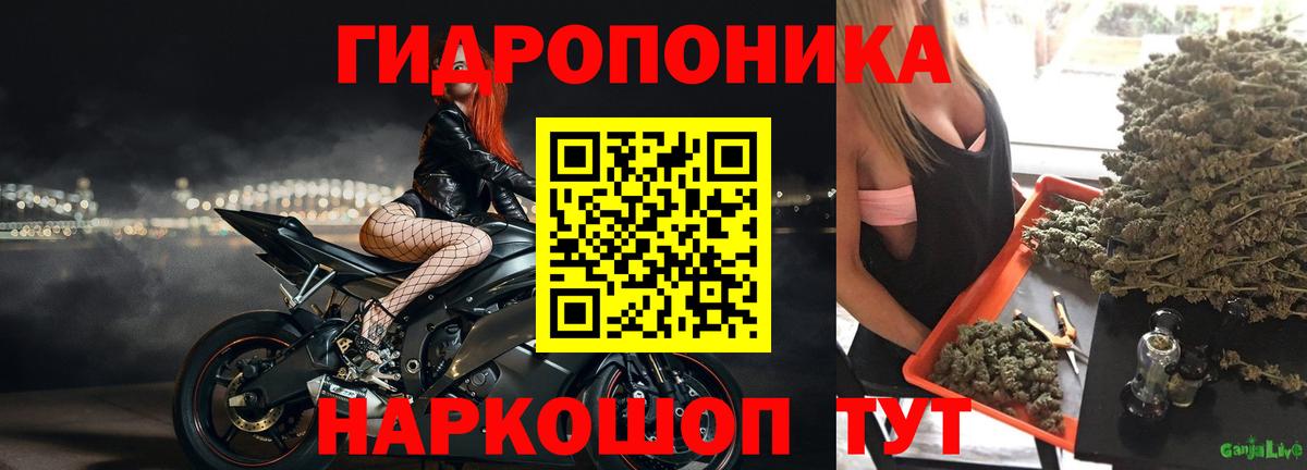 Бошки Шишки AK-47  Шишки марихуана SATIVA & INDICA  Канабис сатива  Камышлов  Вход с VPN 